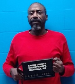 Mugshot of Brown, Demetrius  