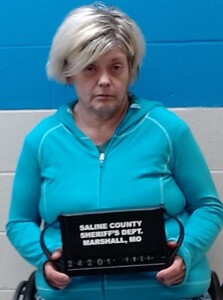 Mugshot of Brown, Angela  